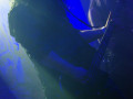 live 20130712 0908 finntroll