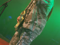 live 20130713 1012 soulfly
