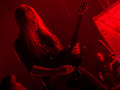 live 20150718 1094 carcass