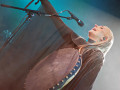 20240719 live eivor