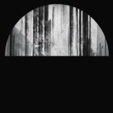 COL-vertikal II-EP-cover big