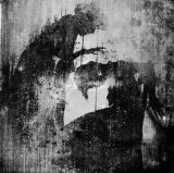 Integrity_BHR7inch_160