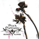 Black Daffodils - Broken Flower