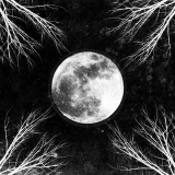 CorpusChristii-PaleMoon 