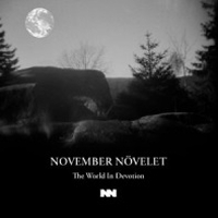 NovemberNövelet TWID