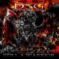 dsg stillawarrior
