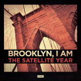 thesatelliteyear brooklyniam