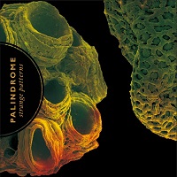 palindrome strangepatterns