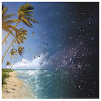 rogueresult transgression