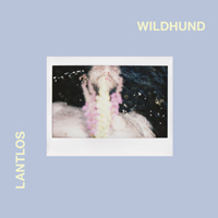 lantlos wildhund