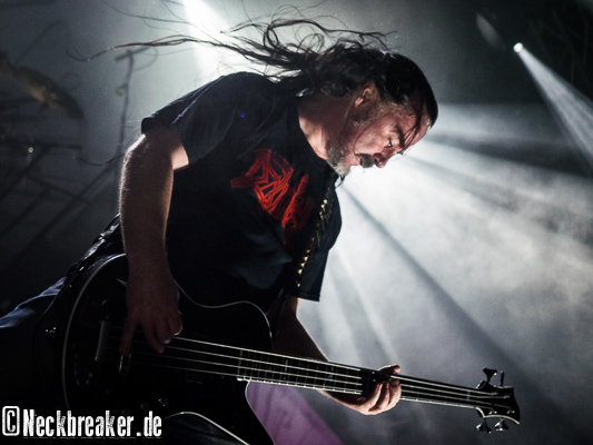 live 20150718 10137 carcass