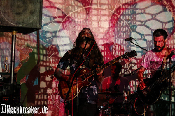 live 20170525 0101 BeesMadeHoneyInTheVeinTree