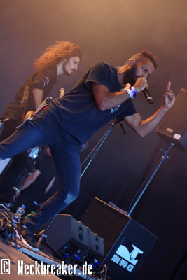 live 20170715 0403 copia