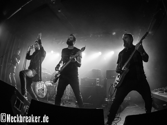 live 20161112 0102 straytrain