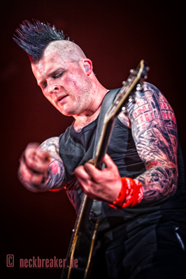  live 20170415 0206 broilers