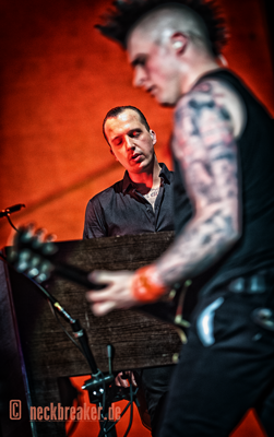  live 20170415 0223 broilers