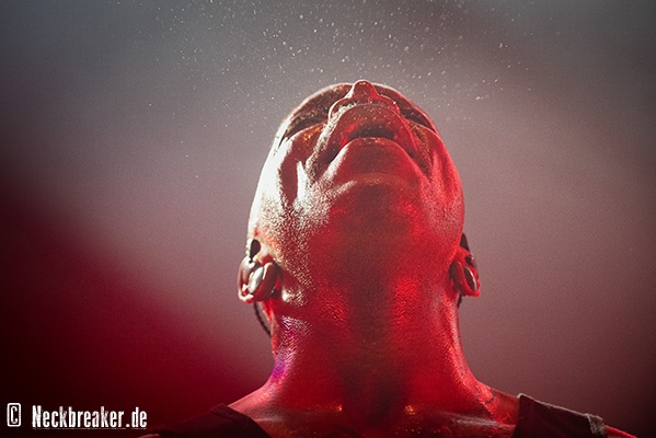 live 20241106 0306 004sepultura