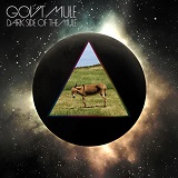GovtMule - Dark Side Of The Mule