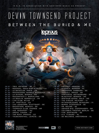 vorbericht devintownsend