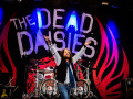 live 20170602 0422 thedeaddaisies