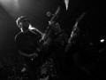 live 20181011 0102 serpentyne