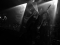 live 20181011 0106 serpentyne