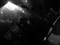 live 20181011 0107 serpentyne