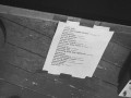 live 20191025 0112 honeycreek