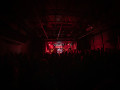 live 20191116 0122 blackvulpine