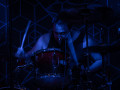 live 20191116 0214 motorowl