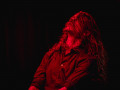 live 20191116 0235 motorowl live 20191116 0235 motorowl