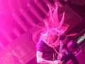 live 20191205 0109 infectedrain