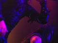 live 20141106 0101 devilment