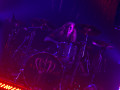 live 20141106 0307 lacunacoil