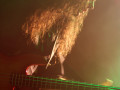 live 20141108 0102 ancilotti