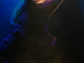 live 20141108 0508 threshold