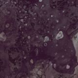 Pinkish Black  Razed To The Ground