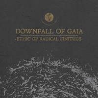 interview downfallofgaia 01